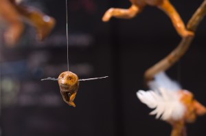 Photographe : Catherine Guizot